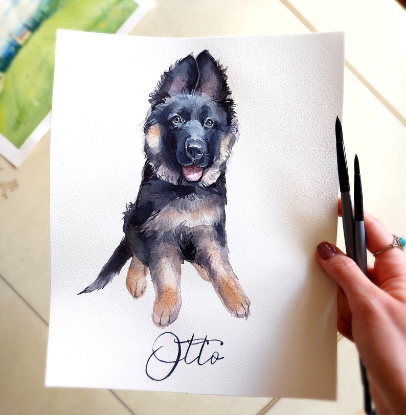 K&ouml;nnte beinhalten: Aquarellmalerei eines Deutschen Sch&auml;ferhund-Welpen namens Otto. Der Welpe sitzt mit gekreuzten Vorderpfoten und schaut direkt auf den Betrachter. Das Bild ist auf wei&szlig;em Hintergrund.