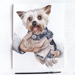 May include: Watercolour painting of a small brown and black Yorkshire Terrier dog being held in a hand. The dog is wearing a black collar with a silver tag that says "A".