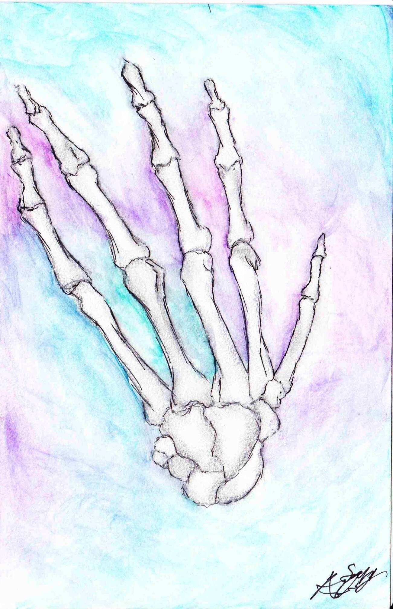 Human skeleton hand drawing with watercolors print | Etsy