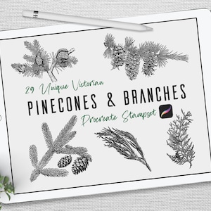 Puede incluir: Un conjunto de ilustraciones digitales de 29 conos de pino y ramas victorianas únicas para usar en Procreate. El conjunto incluye una variedad de conos de pino y ramas en blanco y negro.