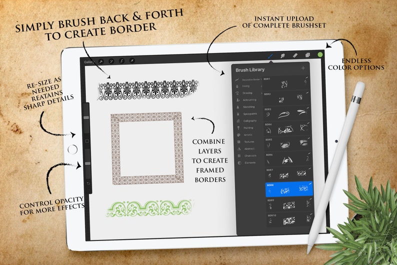 Procreate Seamless VINTAGE BORDER Brushes Set Two Etsy