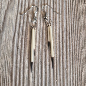 Real Porcupine Quill Earrings