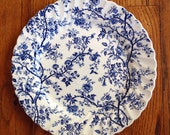 Old Bradbury Dinner Plate Johnson Bros Blue Transferware