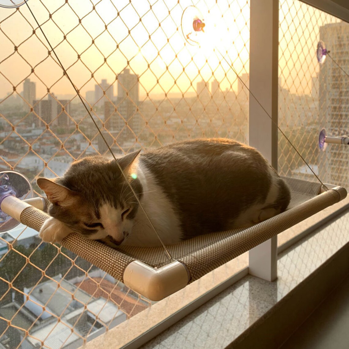 Katze Fenster Hängematte / Katzenbett / Haustier Möbel