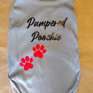 May include: Light blue dog shirt with black text that says "Pampered Poochie" and two red paw prints.