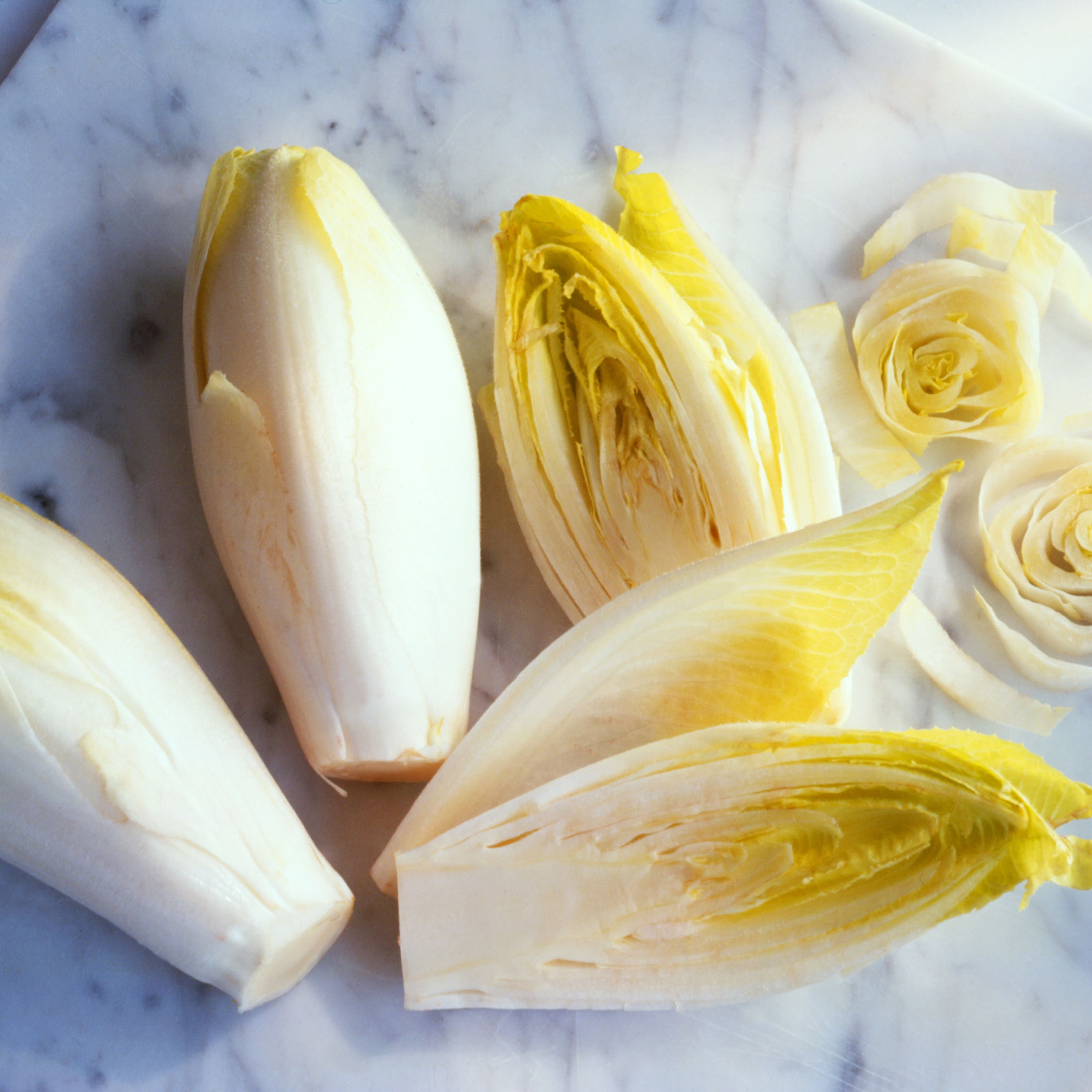 300 Organic ENDIVE SEEDS Whitloof Chicory Harvested in USA Etsy