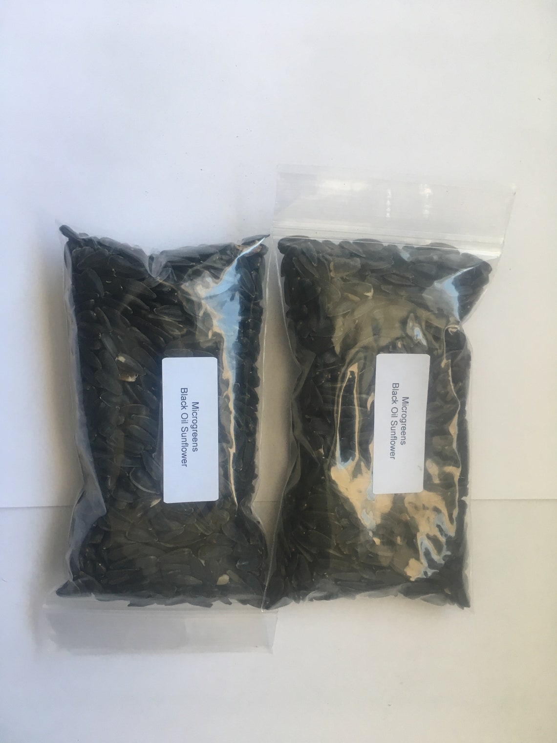 2400 Microgreens Organic Black Oil Sunflower Seeds Ships From Etsy