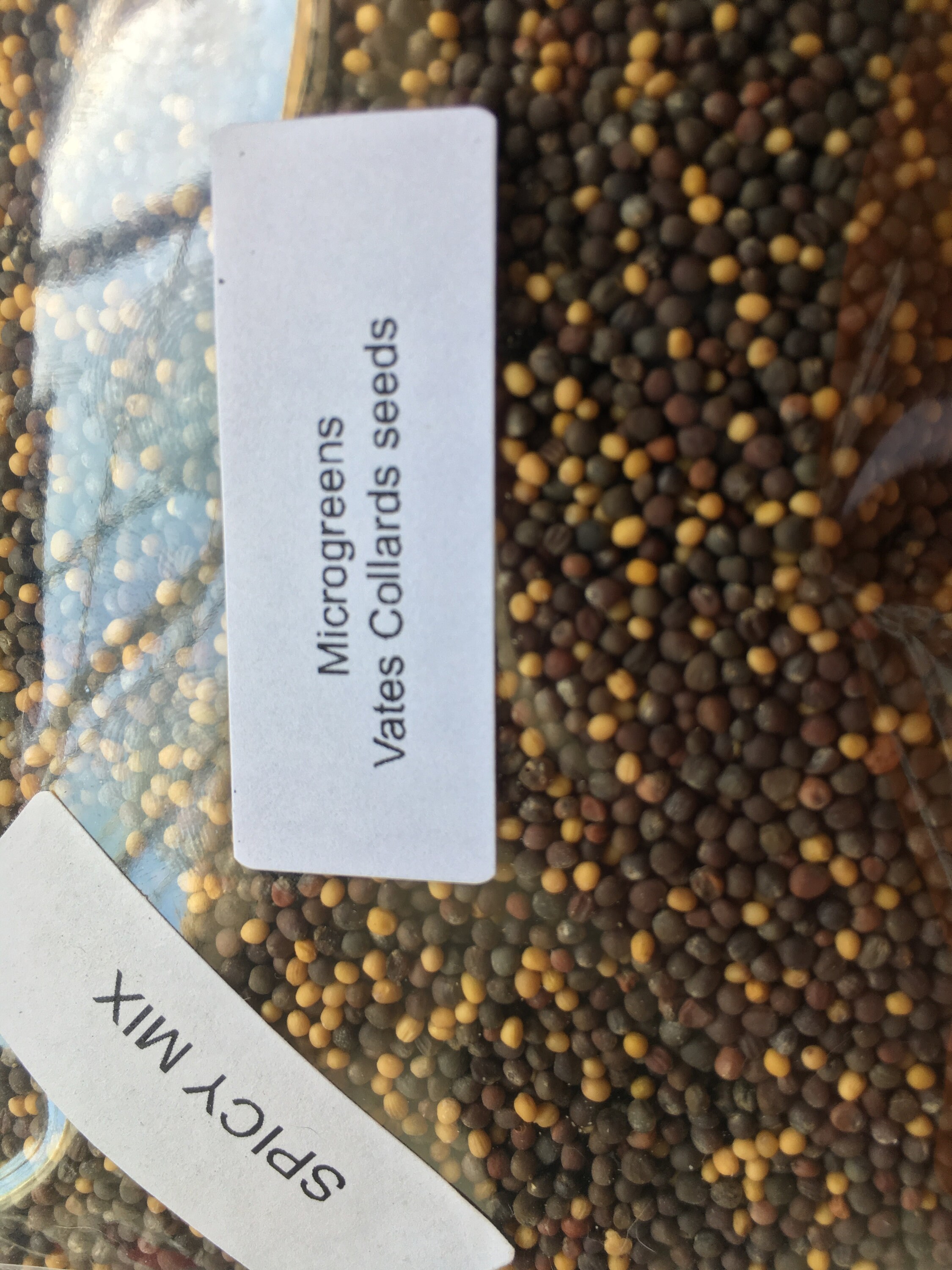 1 pound Spicy Vates Collard Greens seeds Organic Non gmo Etsy