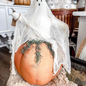 Primitive Ghost on Pumpkin