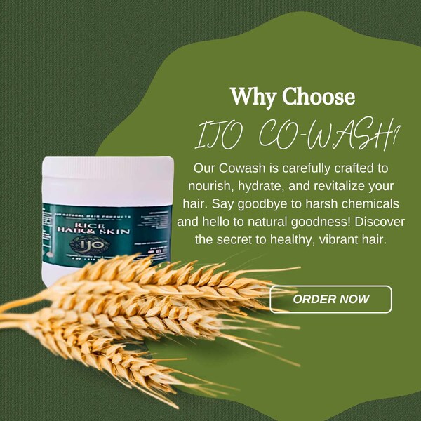 Fermented rice co-wash deep conditioner Ijo Natural Hair Products