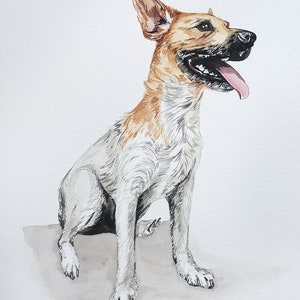 May include: Watercolor painting of a brown and white dog sitting with its tongue out. The dog is looking to the right of the image.