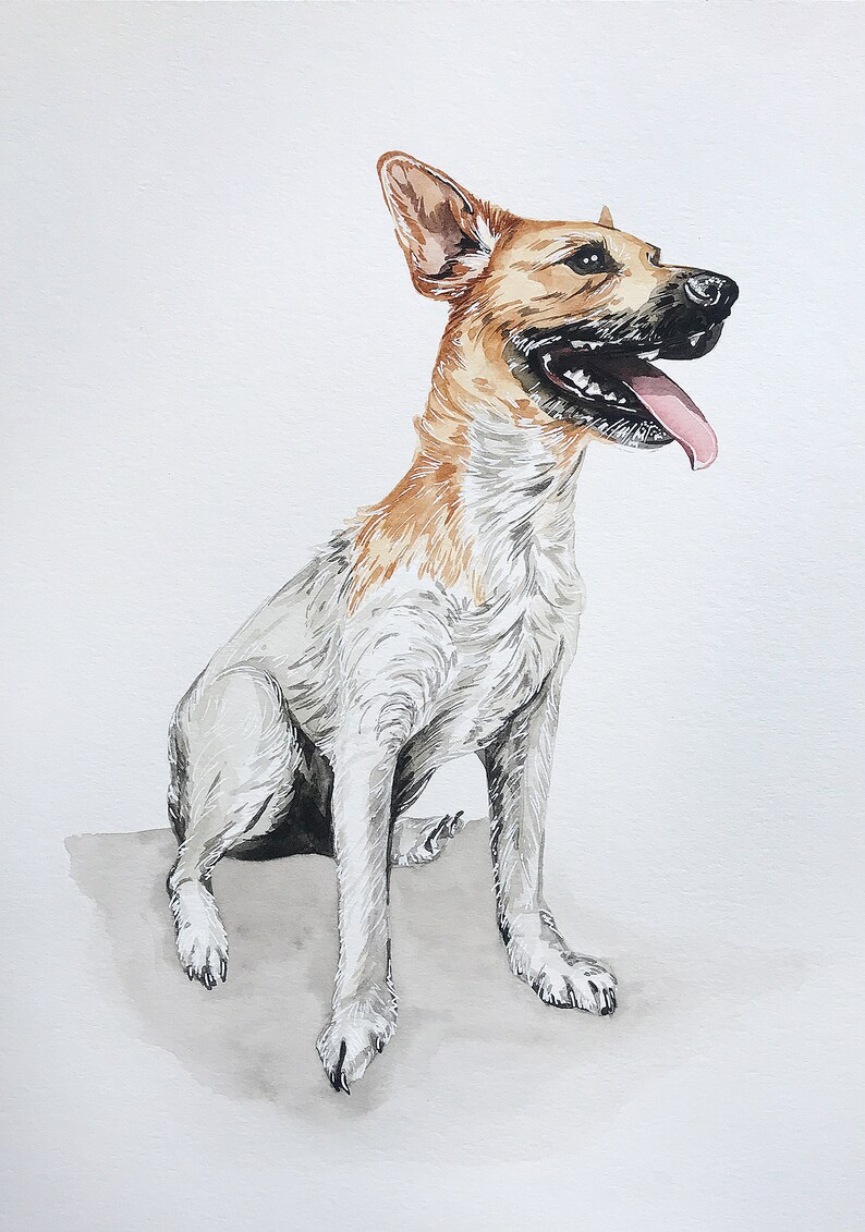 May include: Watercolor painting of a brown and white dog sitting with its tongue out. The dog is looking to the right of the image.
