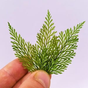 15 jungle plant leaves version 2 for diorama - scenic elements for architectural model diorama model making and dollhouses