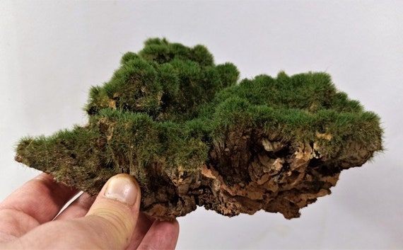 Dark Green Flock 30g Dark Green Flock 30g