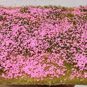 Peut inclure: Un morceau rectangulaire de terrain artificiel recouvert d'herbe verte et de petites fleurs roses. Les fleurs sont densément tassées, créant une surface texturée. La base du terrain semble être de couleur marron clair.