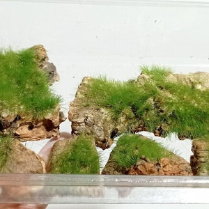 cork rocks with realistic green electrostatic grass