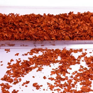 Natural Leaves Mix Red Autumn Pro realistic