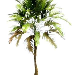 1/35 Tropical Jungle Palm Model TPV-064 1pcs