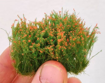 May include: A cluster of green grass with small orange flowers. The grass is dense and fluffy, and the flowers are scattered throughout the cluster.