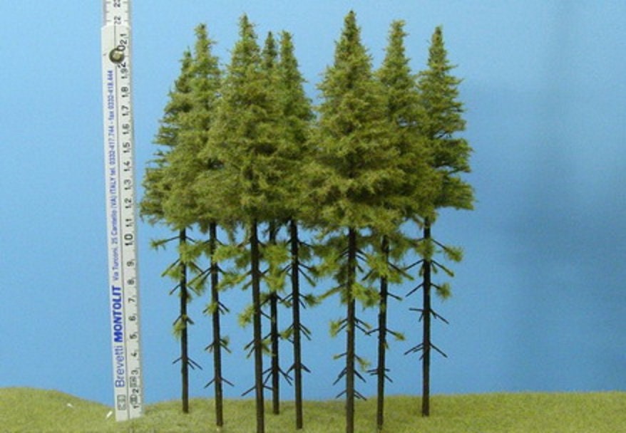Larch with trunk 180-220 mm (5x) MK200