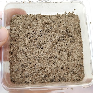 10,000 leaves (about 20 grams) professional leaves defined dry leaves 3 mm dp-kjh-007