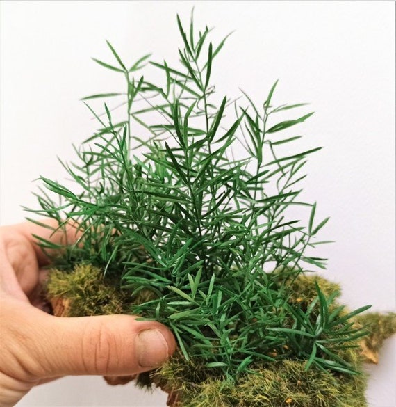 01 magical forest – Jungle plant with green leaves - scenic elements for architectural model diorama model making and dollhouses