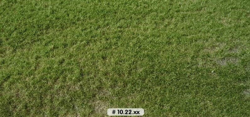 Grazing grass Summer – short grass 18.5 x 28 cm about queues:10.22