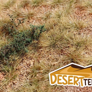 San Pedro Desert F340
