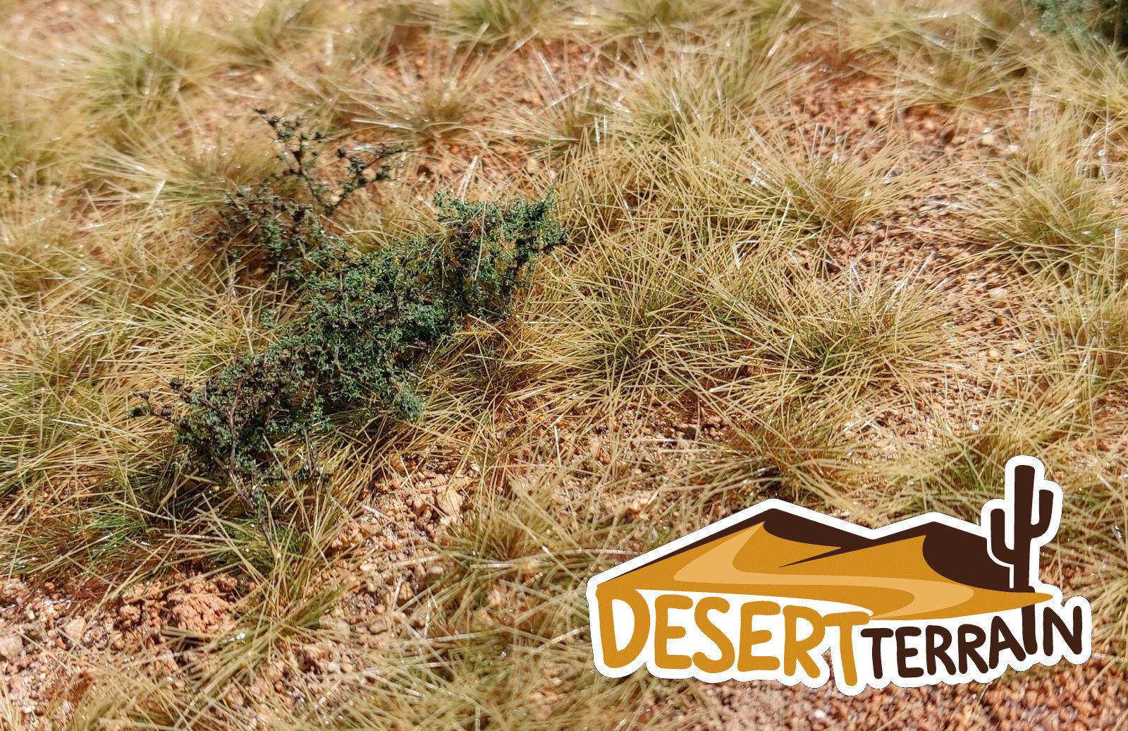 San pedro cactus powder - Etsy 日本
