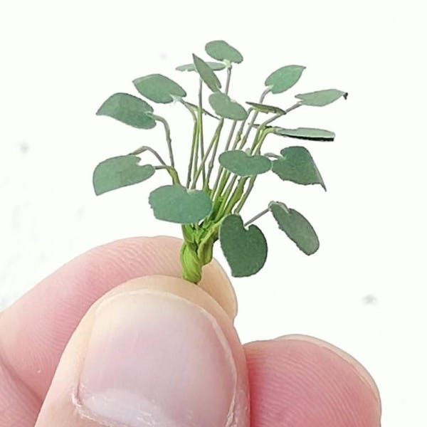 3 plantes miniatures Hauteur environ 3 cm Soraya XKY-004