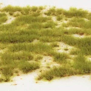 Grass Tufts 2-4 Farmyard Spring Professional irregular and truthful shape