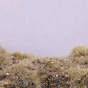 Może przedstawiać: Zbliżenie na kępę suchej, jasnobrązowej trawy na jasnofioletowym tle.