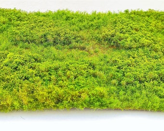 May include: A green moss panel, perfect for adding a touch of nature to your home decor. The moss is a vibrant green color and has a soft, velvety texture.