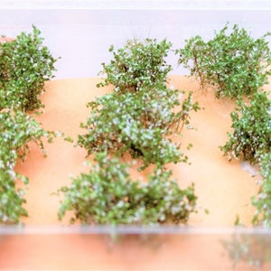 9 bushes 1-2 cm tall super realistic version 12-5004