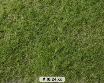 Può includere: Un primo piano di un prato verde. L'erba è corta e tagliata uniformemente. L'immagine è etichettata con il testo "# 10.24.xx".