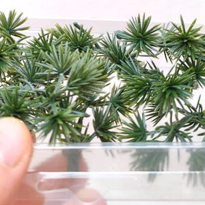May include: A clear plastic container filled with a large amount of artificial green pine sprigs. The sprigs are arranged in a random pattern and are all the same size.