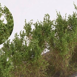 10 Bushes 30-50mm medium green height ready to use for Diorama wb-scmg
