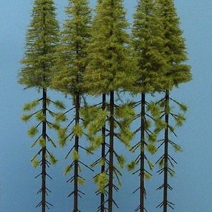 Può includere: Cinque alberi sempreverdi in miniatura con fogliame verde e tronchi marroni. Gli alberi sono disposti in fila e sono tutti della stessa altezza.