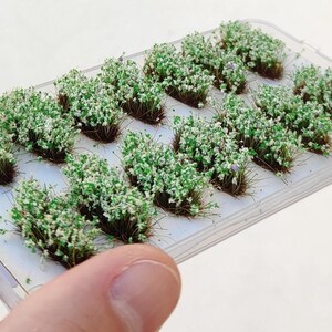 14 tufts of grass with oval flowers HHGG-11