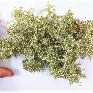 Foliage, bush or tree crown w25 +w32 + w 36 White Flowers Green Bush Diorama Landscape