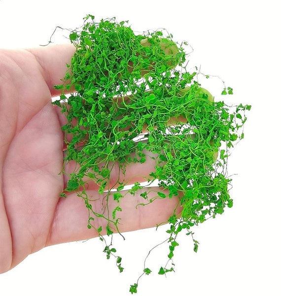 eibe im topf pflanzen Gemeine Eibe (Taxus baccata) | 125-150 cm im Topf