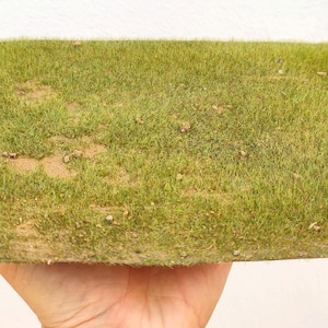 Base, Carpet, ground ready for economic diorama ECO-103 pro size a4 approximately 21 cm x 30 cm surface