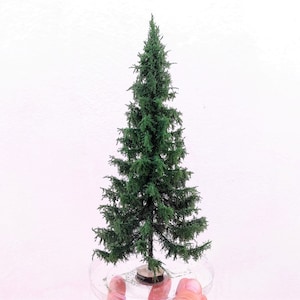 Low stem spruce (full) 1/35, 1/48 – 25/28 cm – ŚWI 4