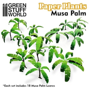 Piante di carta – Alberi di Musa 734ES 10374 Musa Palm