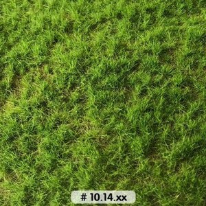 Pode incluir: Um close-up de um pedaço de grama verde. A grama é curta e exuberante, com algumas lâminas de grama marrom misturadas. O texto '# 10.14.xx' é visível no canto inferior direito da imagem.