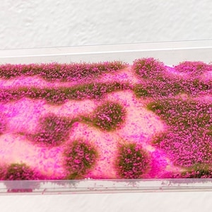 Grass Tufts 3-4 mm green small magenta flowers – tufts and stripes