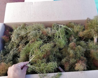 Super Realistic Model Trees / bush Armatures for all stairs model O HO OO N, wargame diorama train backdrop 60 pcs