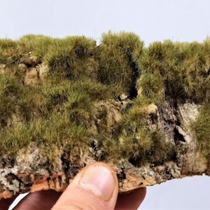 Może przedstawiać: Kawałek naturalnej kory dębu korkowego z kępkami sztucznej zielonej trawy. Kora jest mieszanką brązu i beżu, o szorstkiej, teksturowanej powierzchni. Trawa ma stonowany zielony kolor.