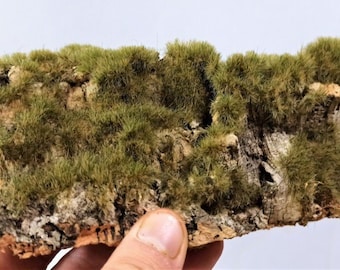 4/5 mm Static Grass Flock – wojskowa zima (30g) DioramaScena Narodzenia