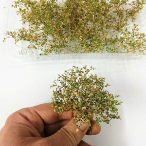 Foliage, bush or tree crown MIX w31 + w 16 pink doll Diorama Landscape